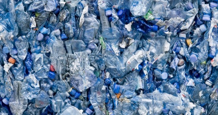 Photo of blue plastic bottles